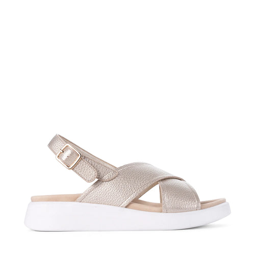 LOS CABOS BOGOTA GOLD