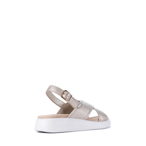 LOS CABOS BOGOTA GOLD