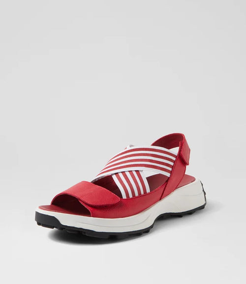 DJANGO & JULIETTE KARTERS RED RED & WHITE